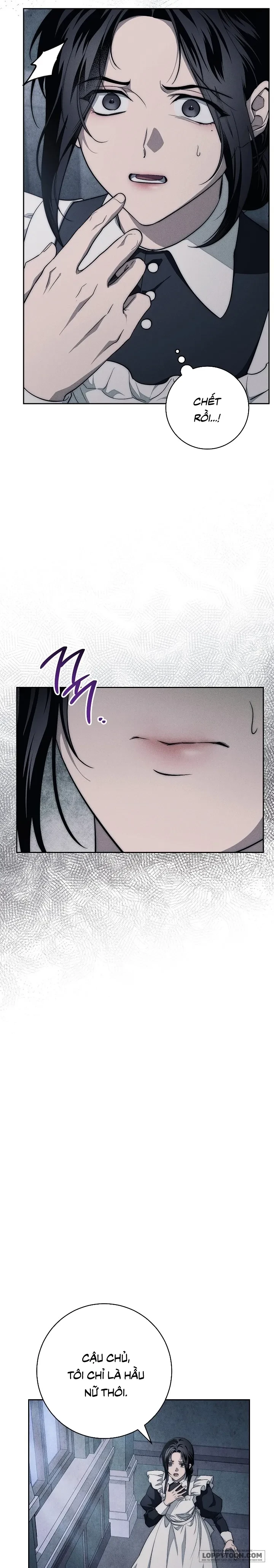 Mộ Thiên Nga Chapter 14 - 24