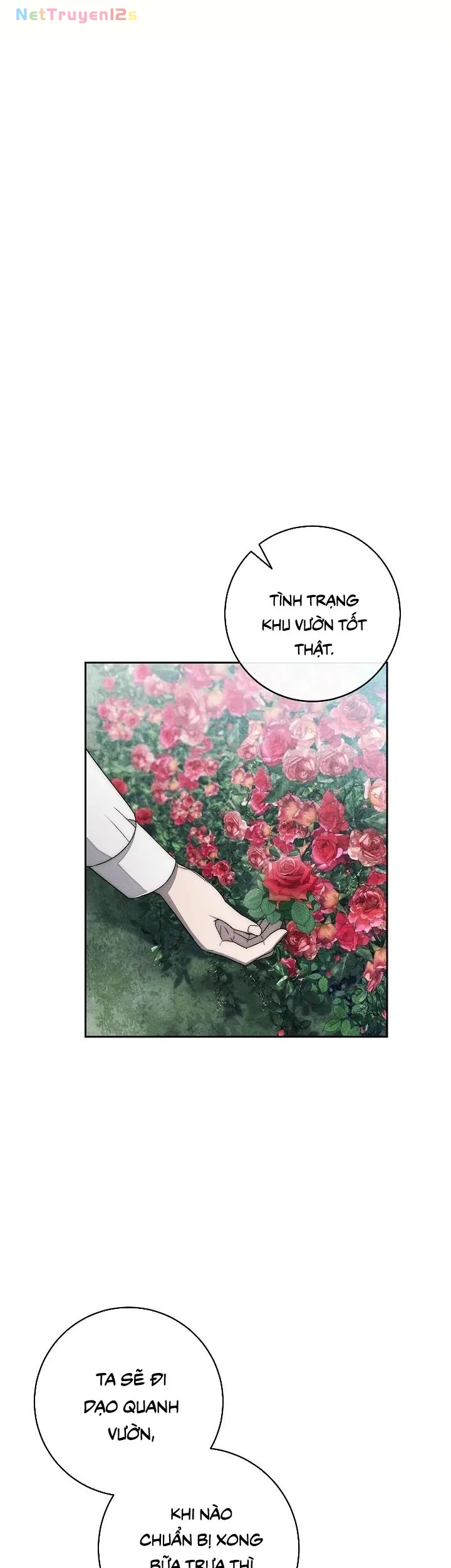 Mộ Thiên Nga Chapter 16 - 18