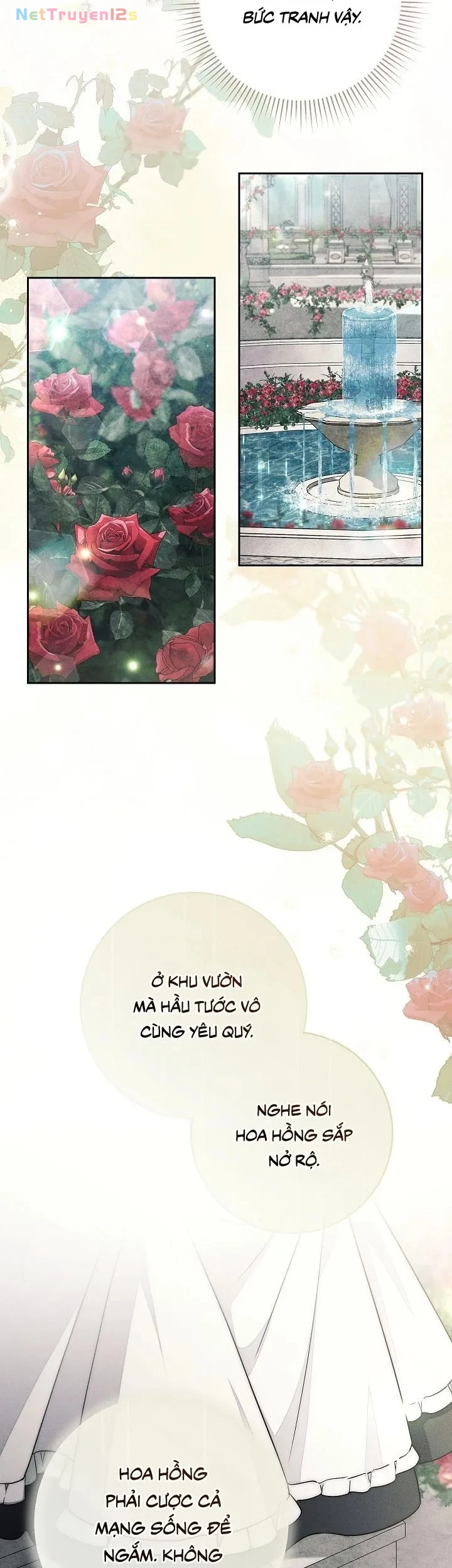 Mộ Thiên Nga Chapter 16 - 22