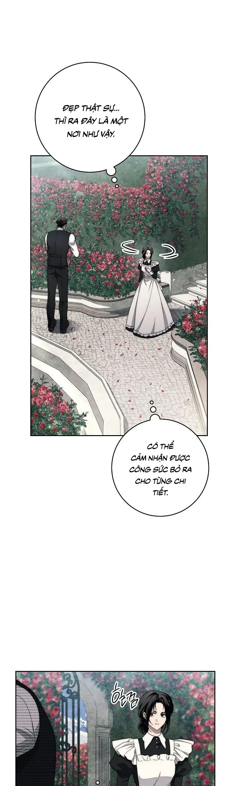 Mộ Thiên Nga Chapter 16 - 24
