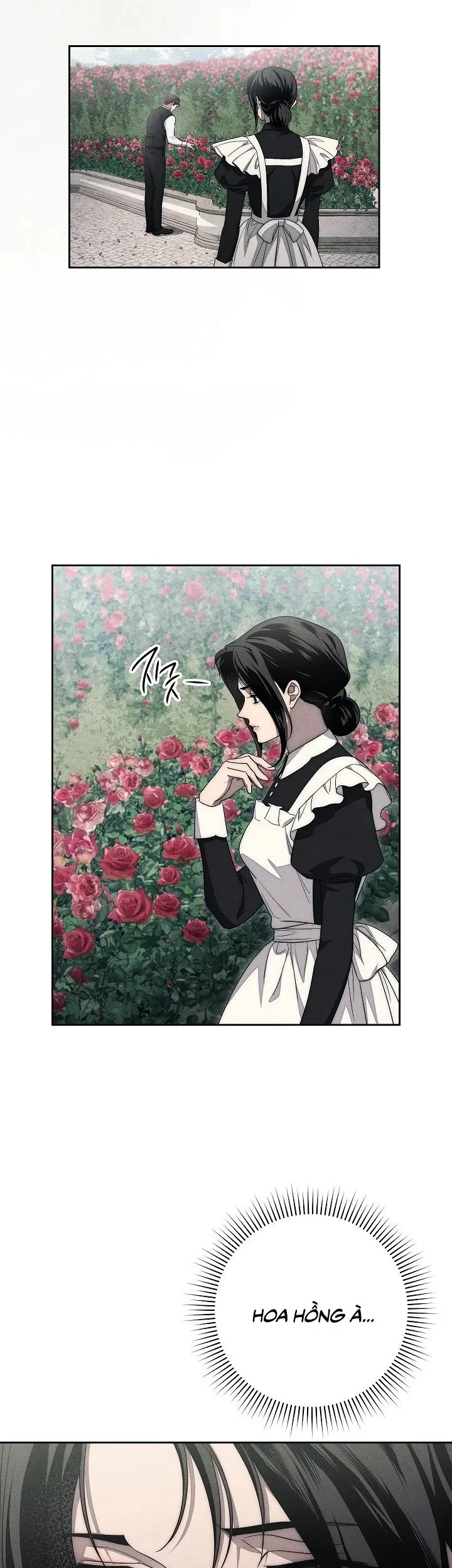 Mộ Thiên Nga Chapter 16 - 28