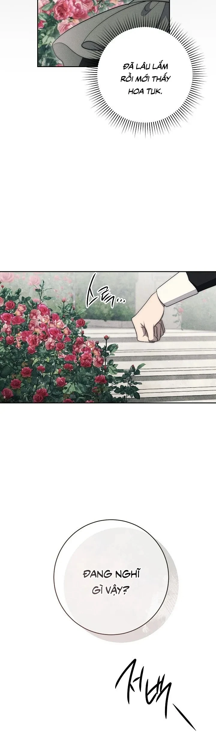 Mộ Thiên Nga Chapter 16 - 31
