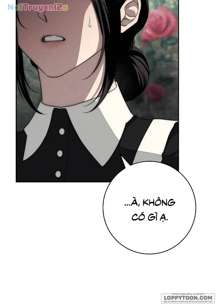 Mộ Thiên Nga Chapter 16 - 33