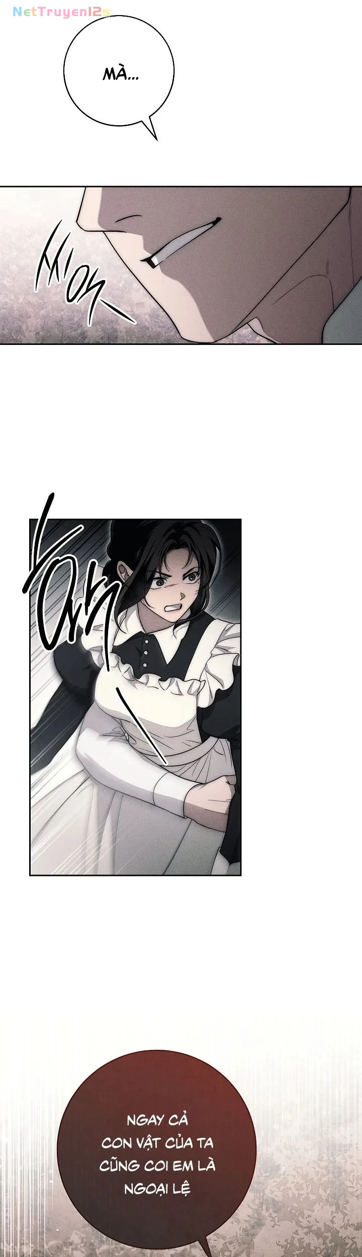 Mộ Thiên Nga Chapter 16 - 41