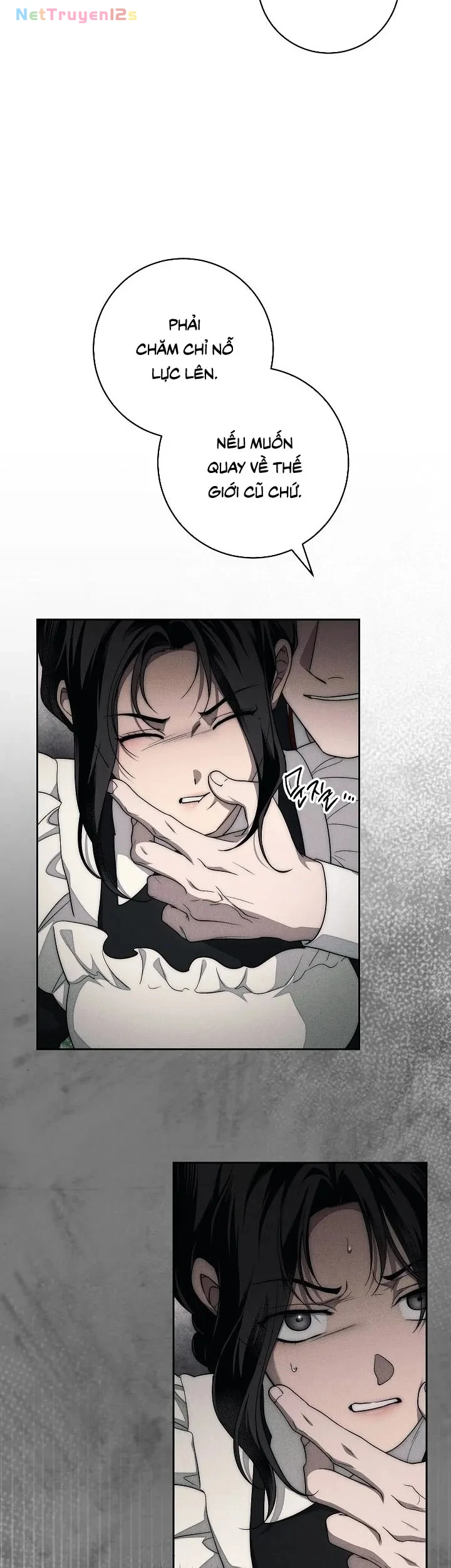 Mộ Thiên Nga Chapter 16 - 44