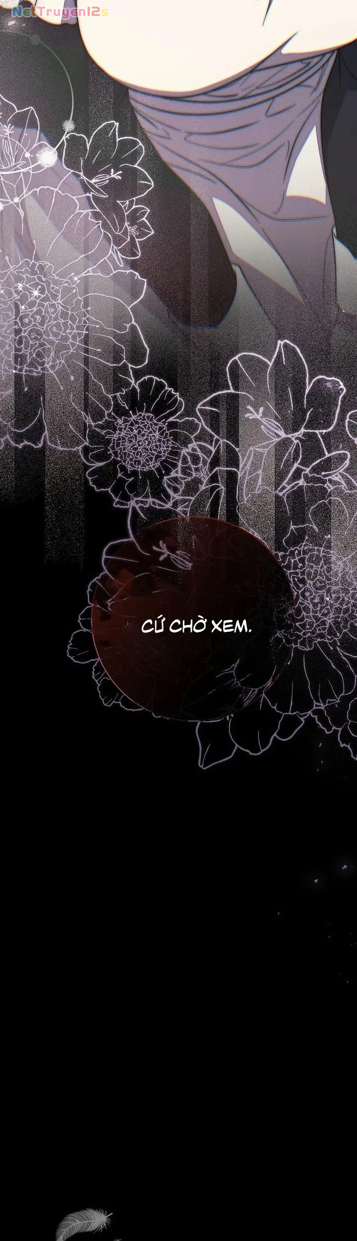 Mộ Thiên Nga Chapter 16 - 52