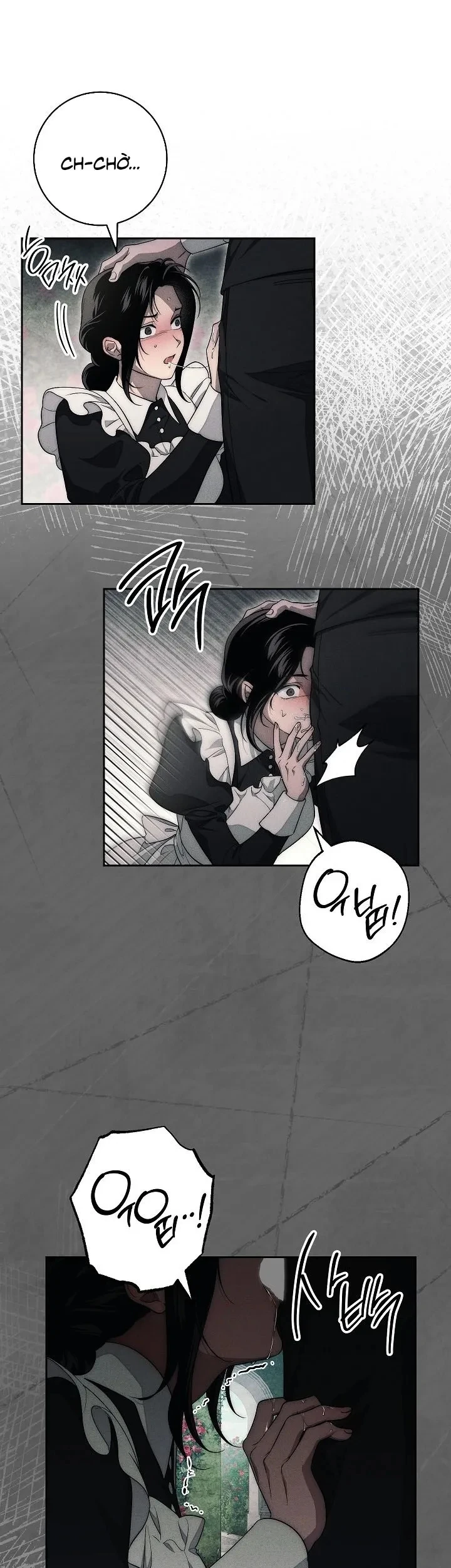 Mộ Thiên Nga Chapter 17 - 11