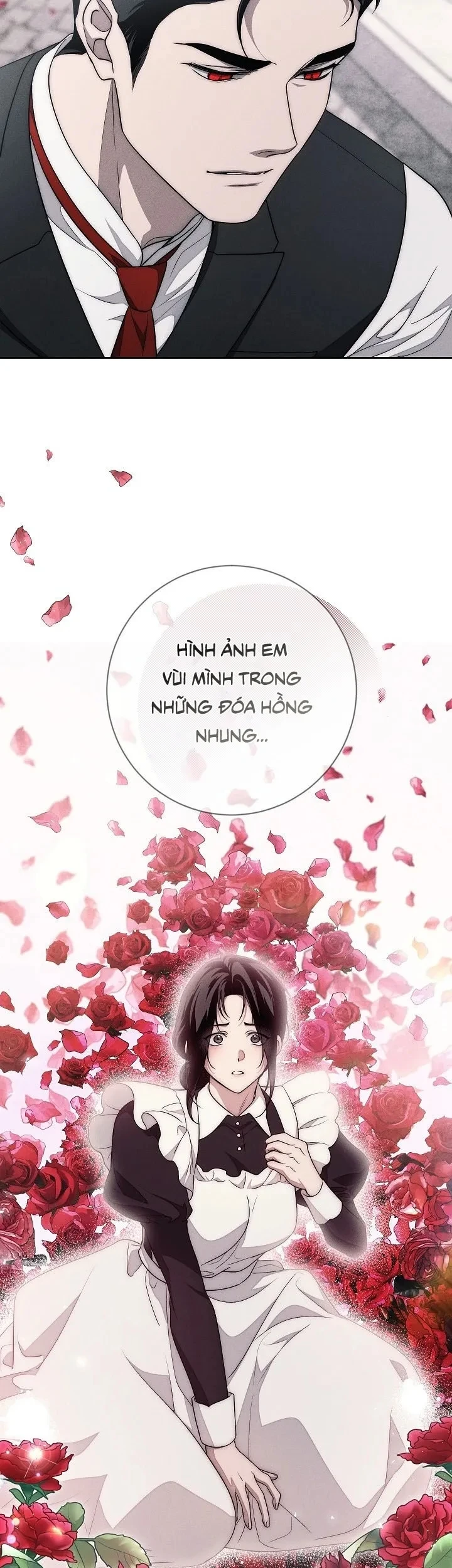 Mộ Thiên Nga Chapter 17 - 34