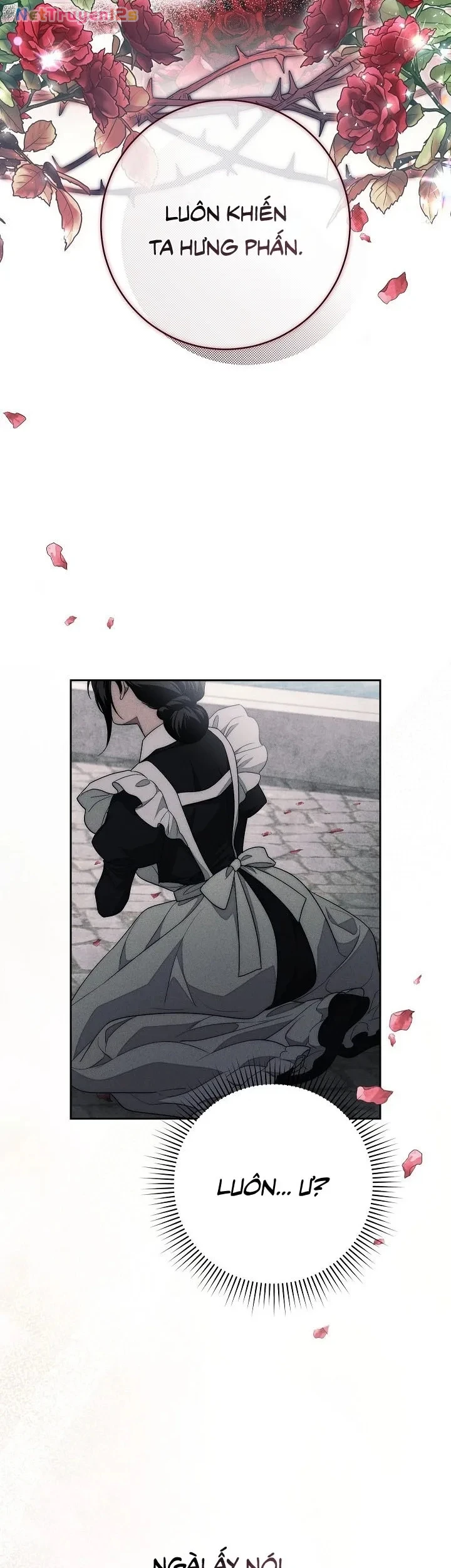 Mộ Thiên Nga Chapter 17 - 35