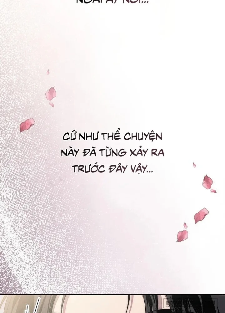 Mộ Thiên Nga Chapter 17 - 36