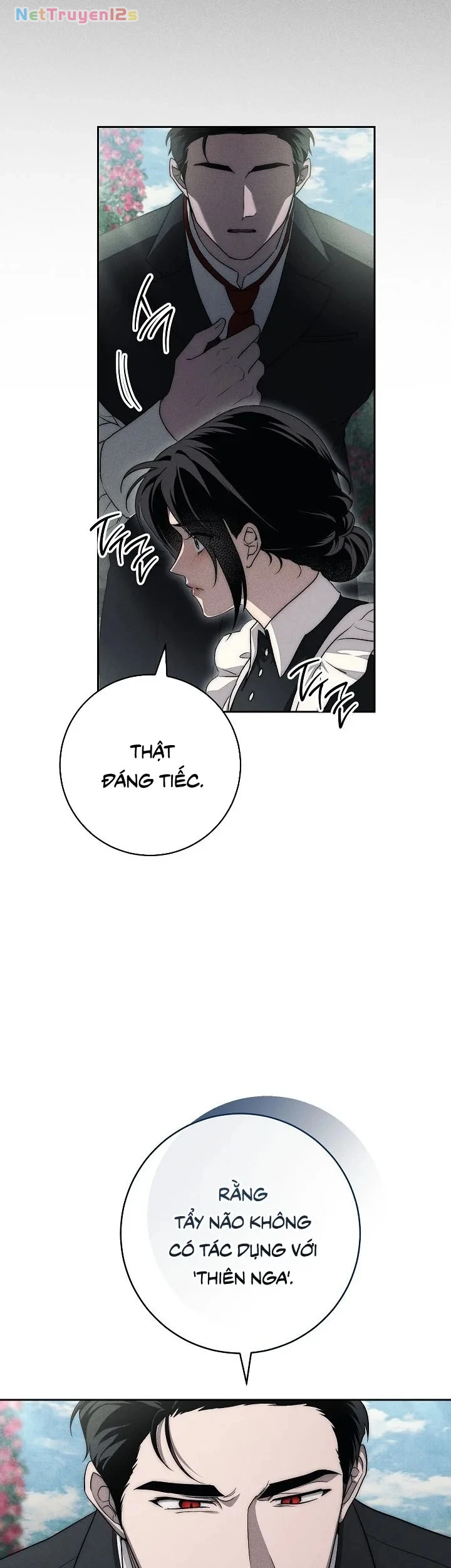 Mộ Thiên Nga Chapter 17 - 42