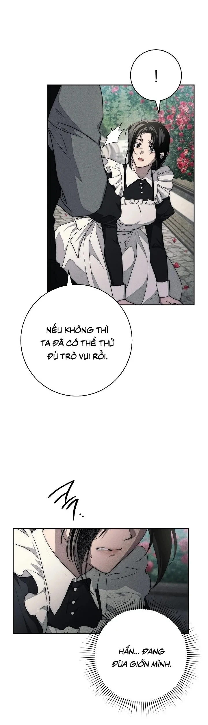 Mộ Thiên Nga Chapter 17 - 44