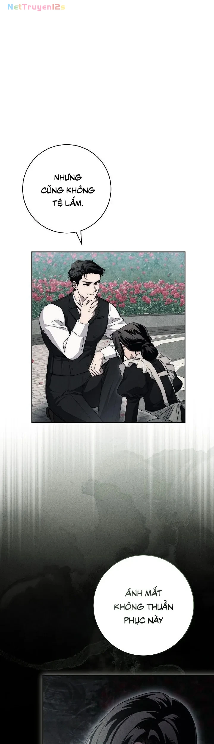 Mộ Thiên Nga Chapter 17 - 45