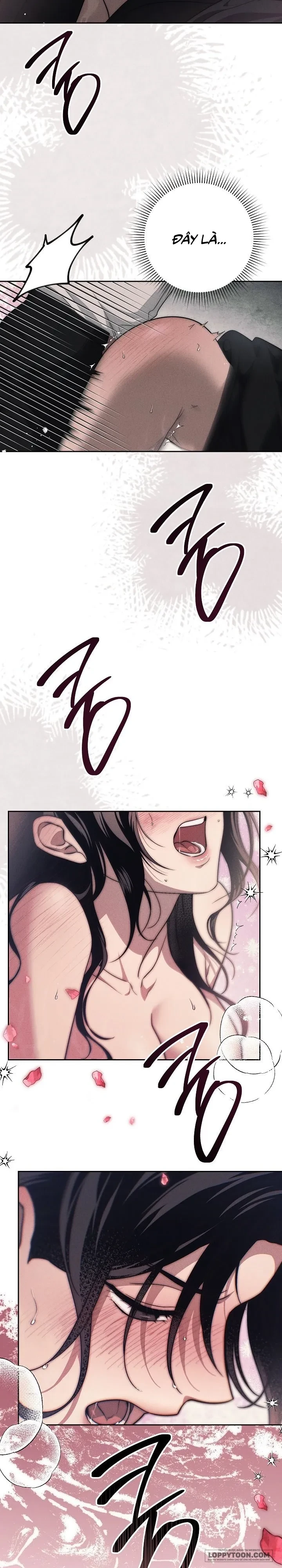 Mộ Thiên Nga Chapter 17 - 60