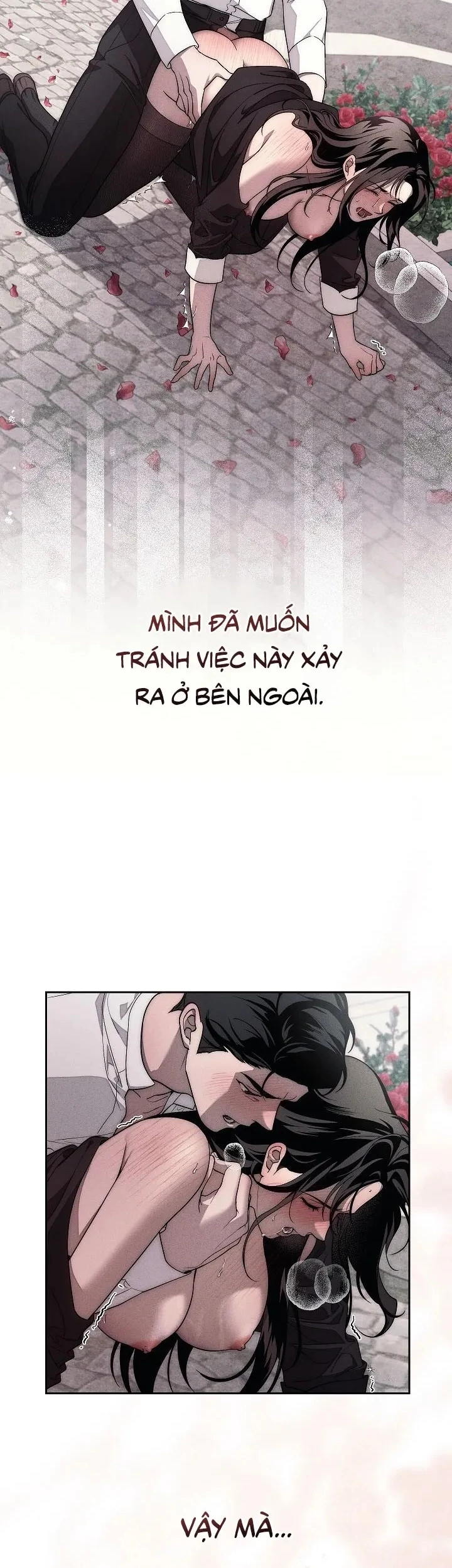 Mộ Thiên Nga Chapter 18 - 2
