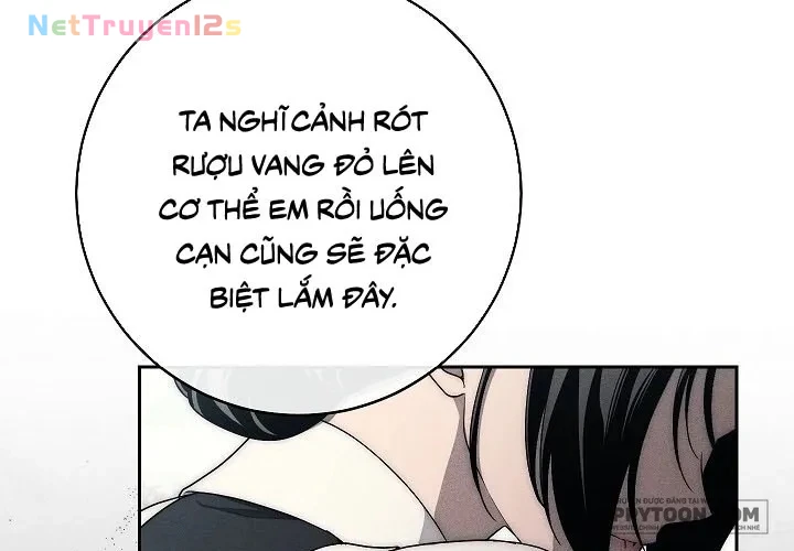 Mộ Thiên Nga Chapter 18 - 9