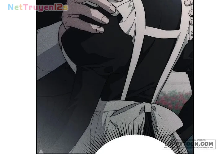 Mộ Thiên Nga Chapter 18 - 45