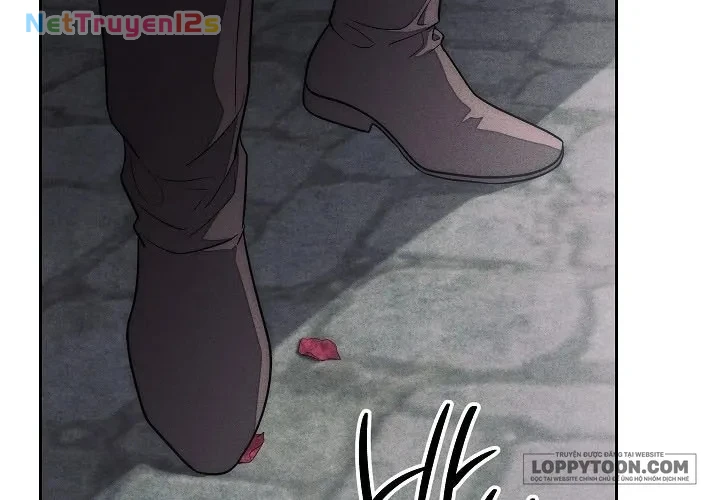 Mộ Thiên Nga Chapter 18 - 57