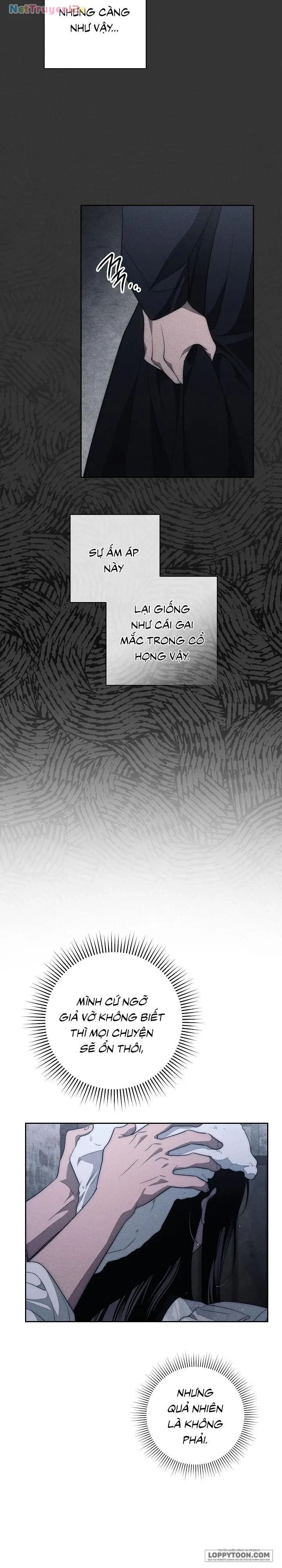 Mộ Thiên Nga Chapter 19 - 15
