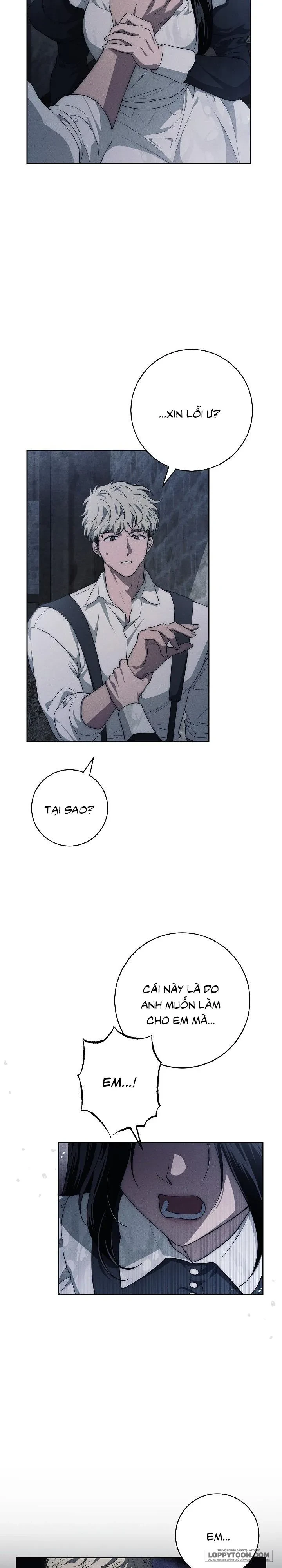 Mộ Thiên Nga Chapter 19 - 17