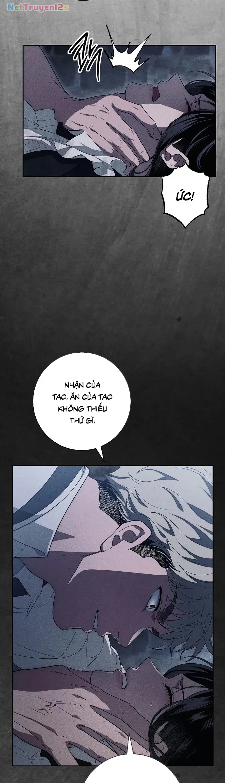 Mộ Thiên Nga Chapter 20 - 28