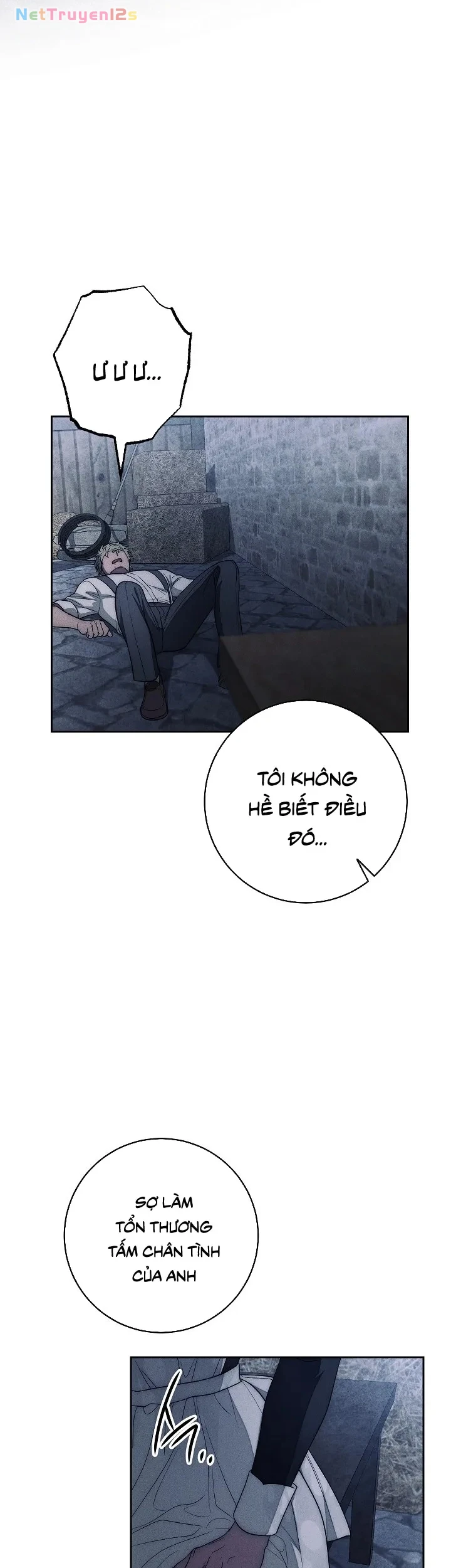 Mộ Thiên Nga Chapter 20 - 42