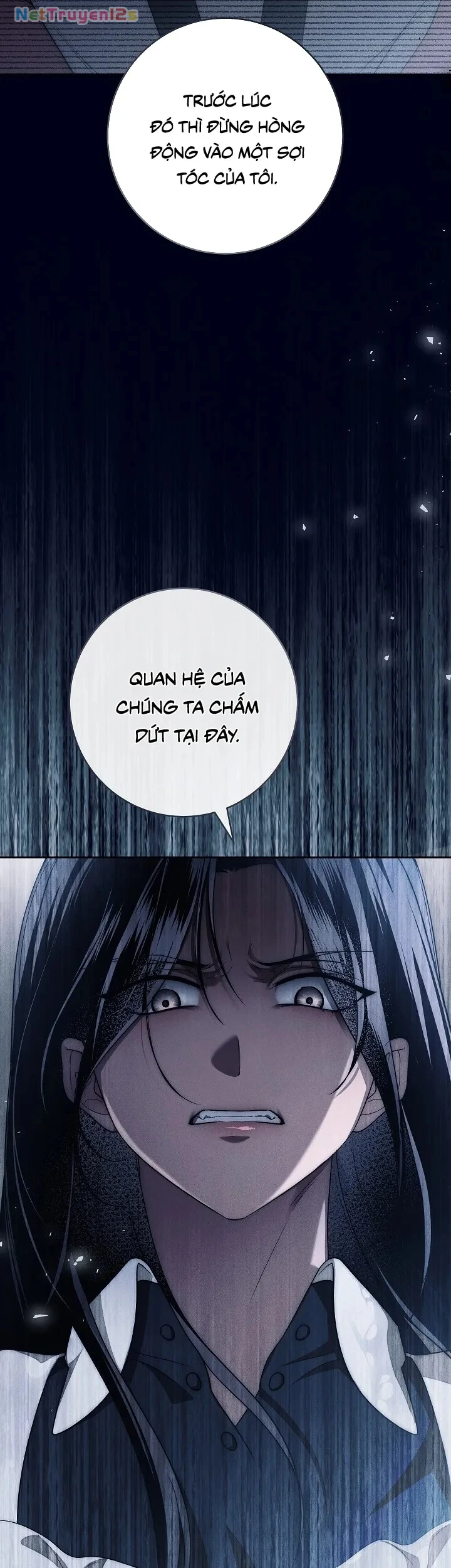 Mộ Thiên Nga Chapter 21 - 4