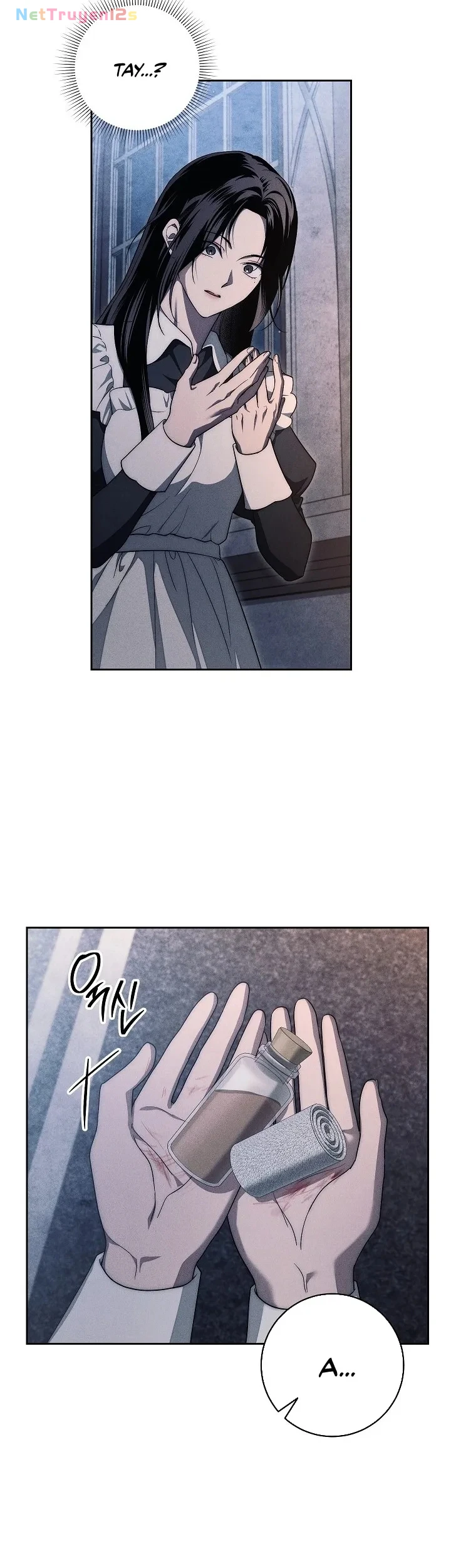 Mộ Thiên Nga Chapter 21 - 24