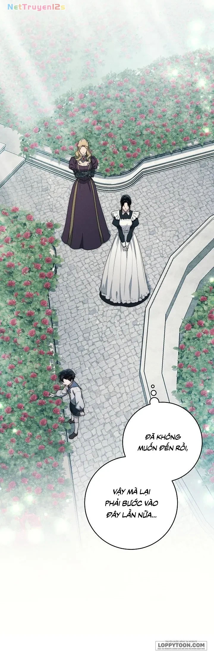 Mộ Thiên Nga Chapter 22 - 7
