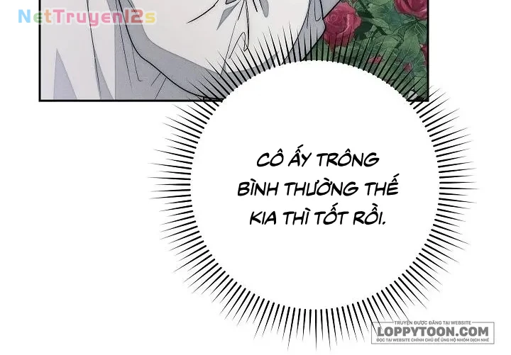 Mộ Thiên Nga Chapter 22 - 13