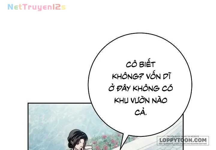 Mộ Thiên Nga Chapter 22 - 24
