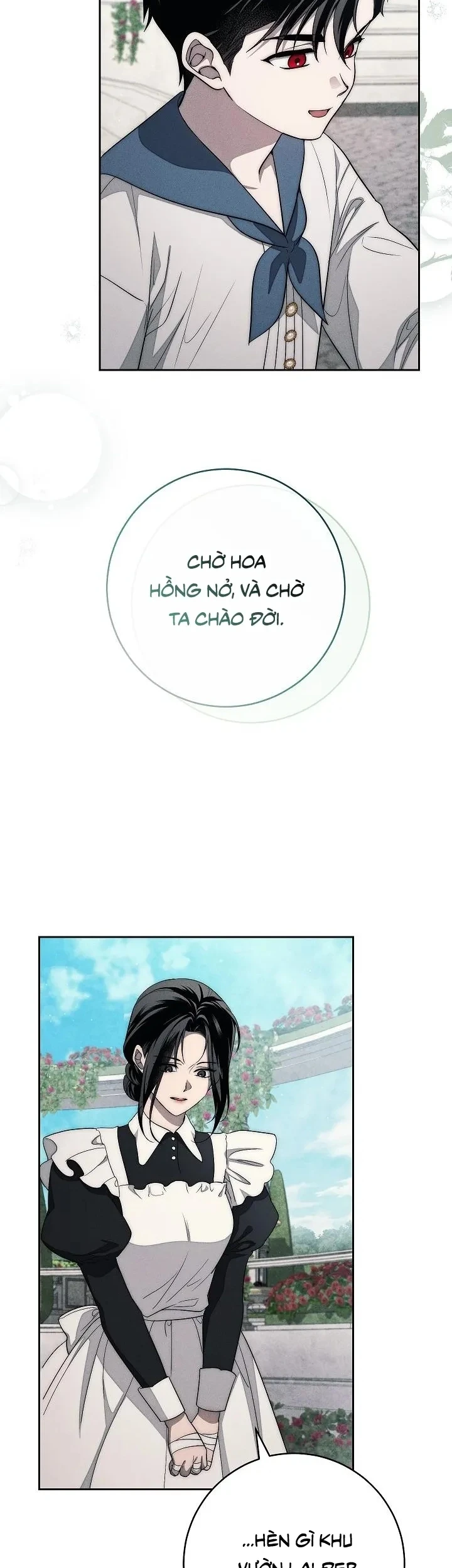 Mộ Thiên Nga Chapter 22 - 26