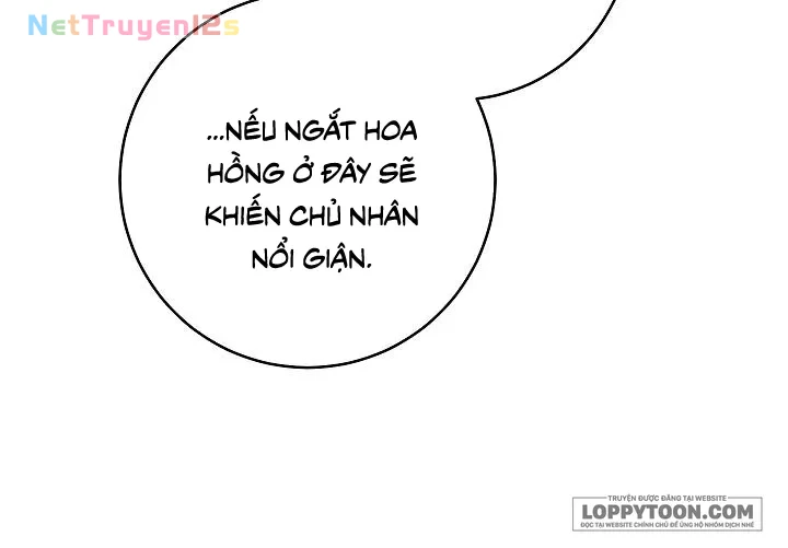 Mộ Thiên Nga Chapter 22 - 38