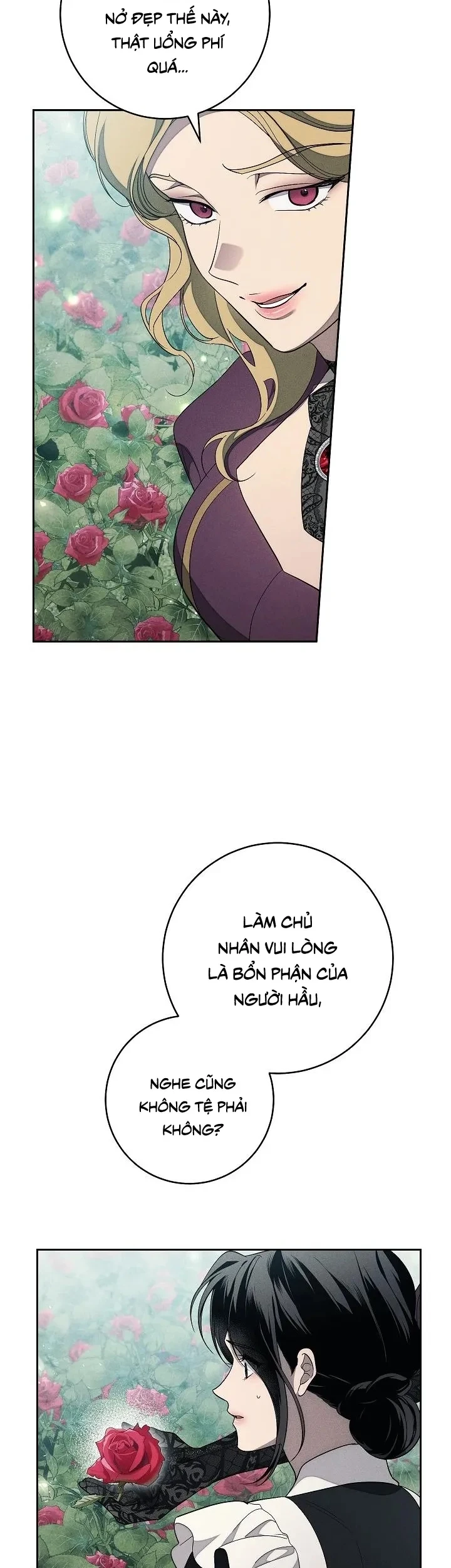 Mộ Thiên Nga Chapter 22 - 40