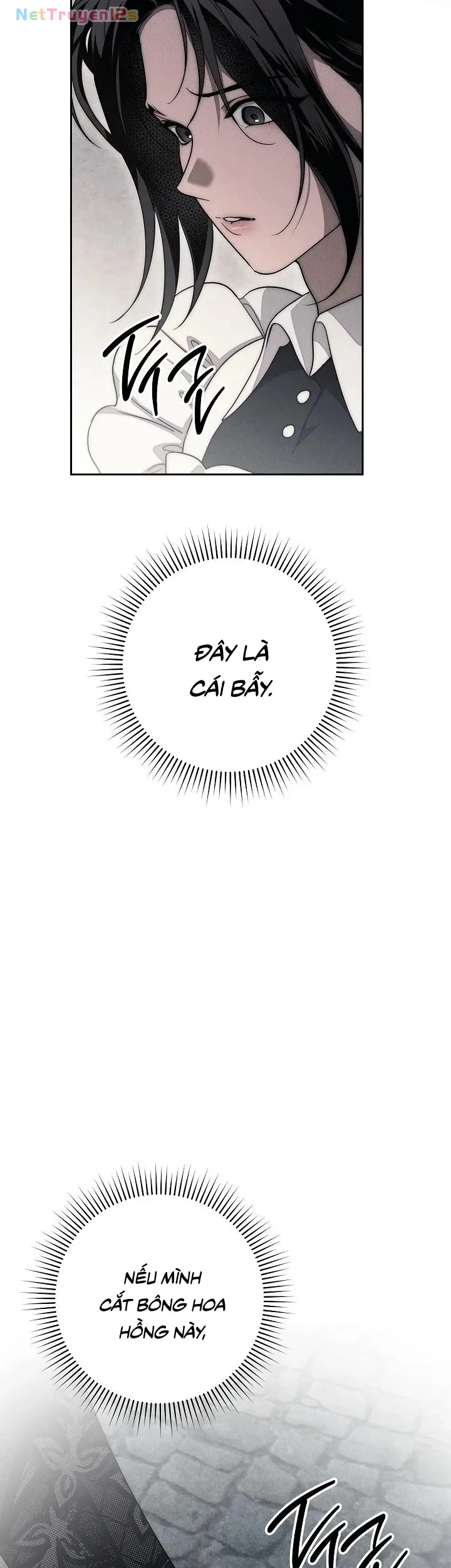 Mộ Thiên Nga Chapter 22 - 47