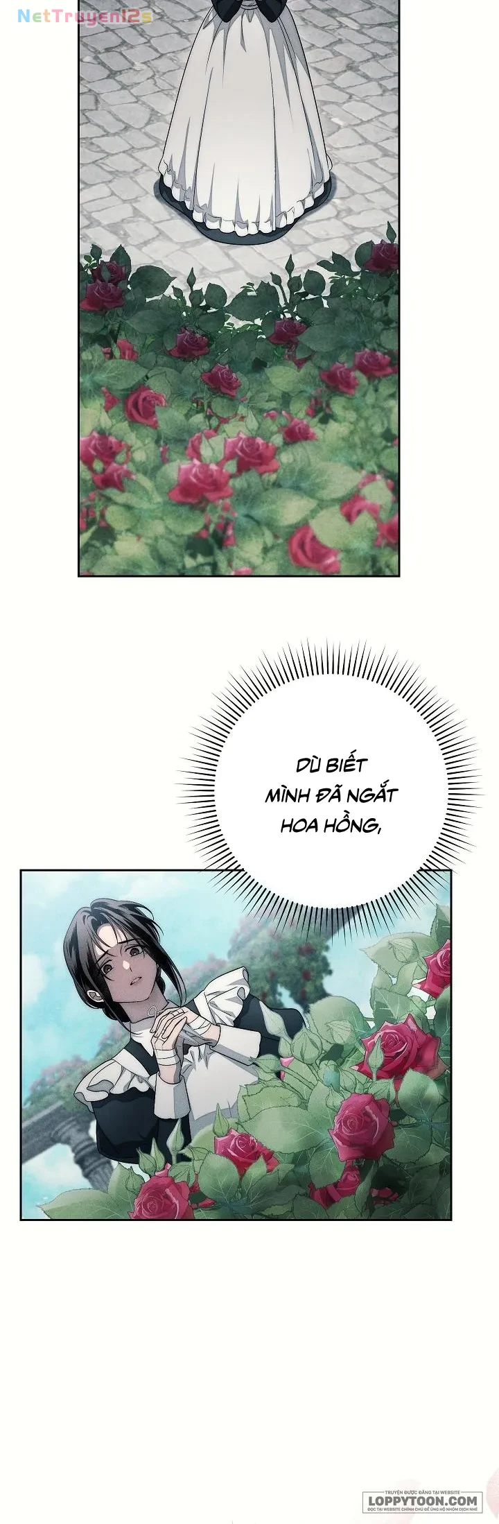 Mộ Thiên Nga Chapter 22 - 56