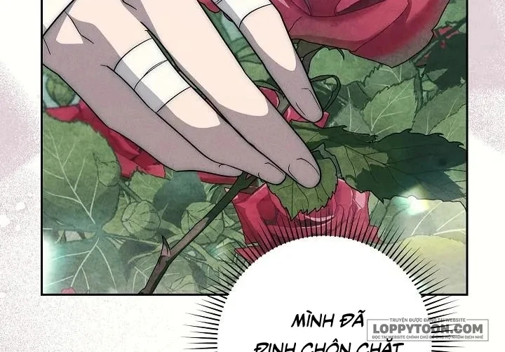 Mộ Thiên Nga Chapter 22 - 59