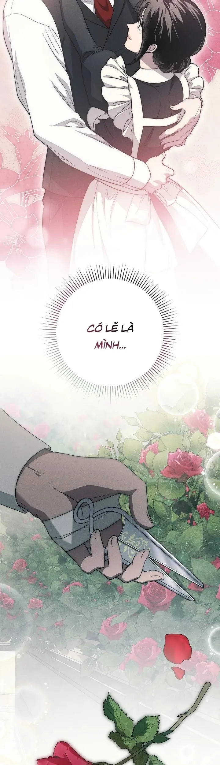 Mộ Thiên Nga Chapter 22 - 64