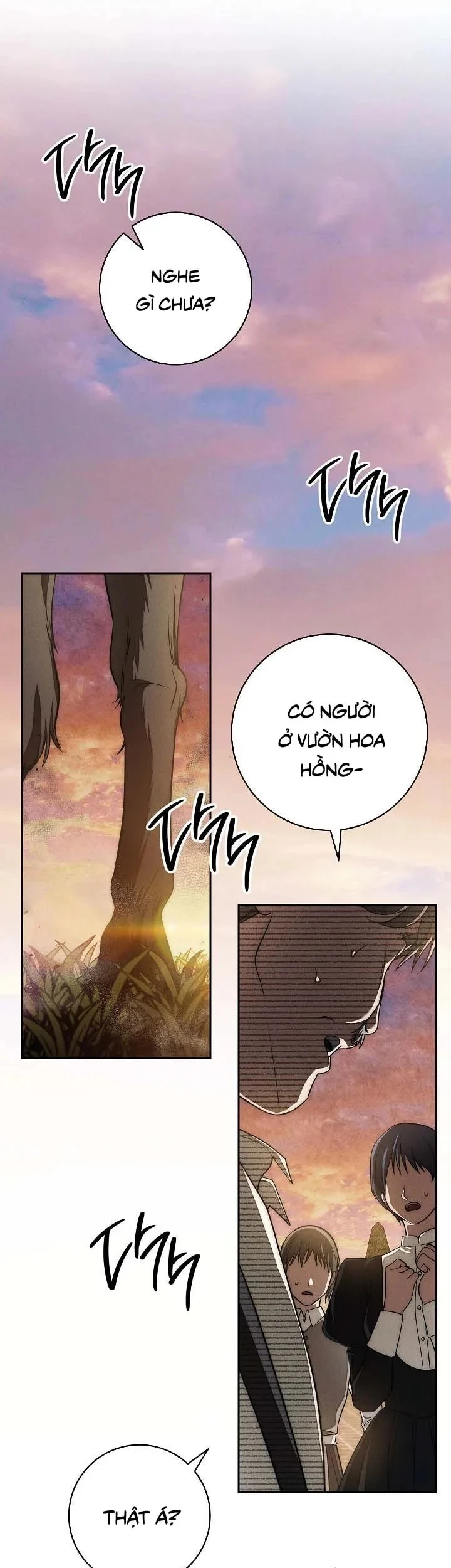 Mộ Thiên Nga Chapter 23 - 18