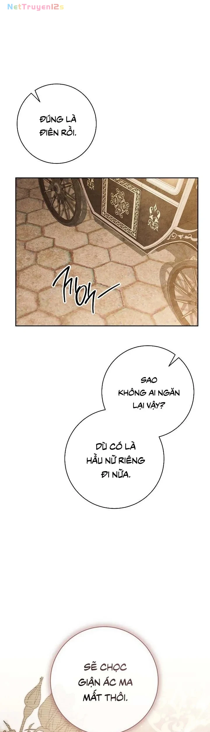 Mộ Thiên Nga Chapter 23 - 20