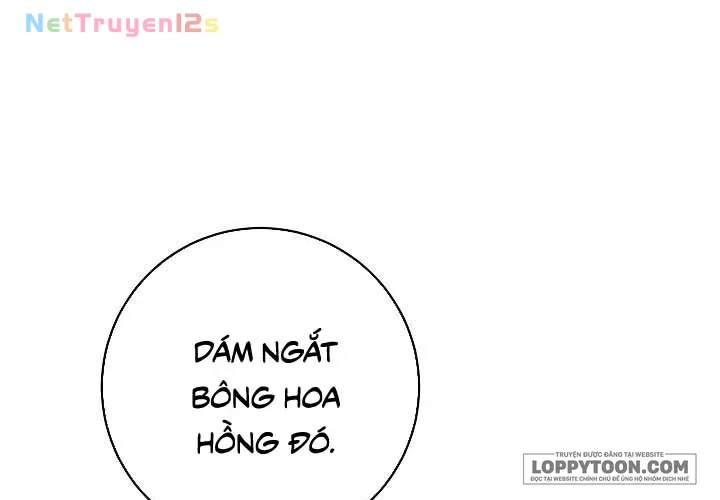 Mộ Thiên Nga Chapter 23 - 22