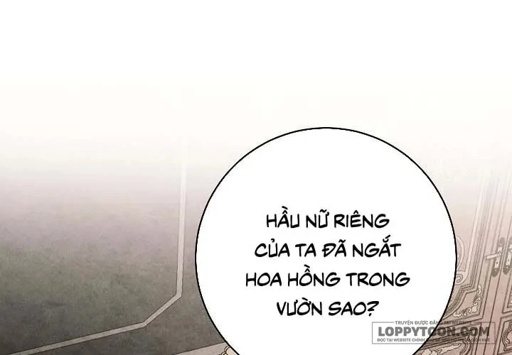 Mộ Thiên Nga Chapter 23 - 28