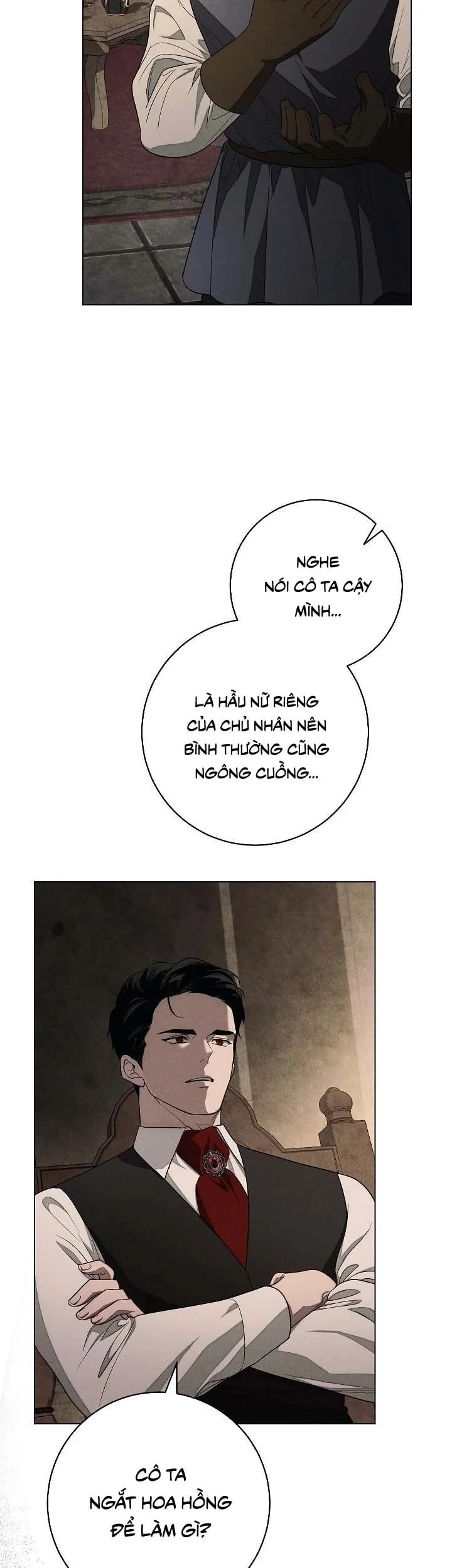 Mộ Thiên Nga Chapter 23 - 32