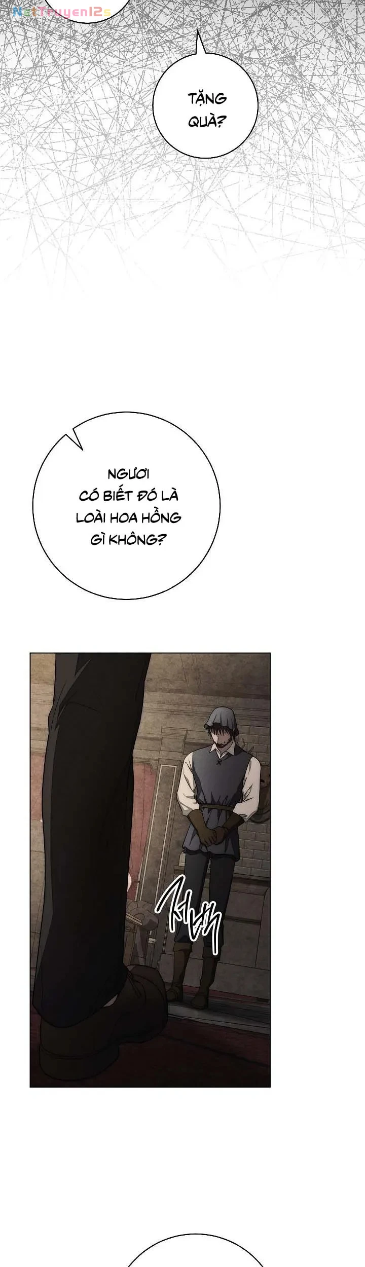 Mộ Thiên Nga Chapter 23 - 35