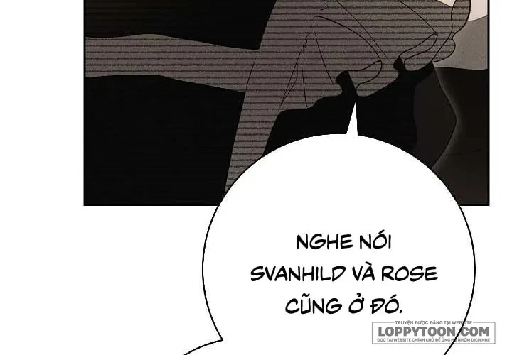 Mộ Thiên Nga Chapter 24 - 18