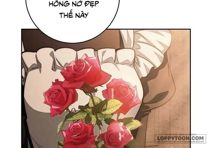 Mộ Thiên Nga Chapter 24 - 51