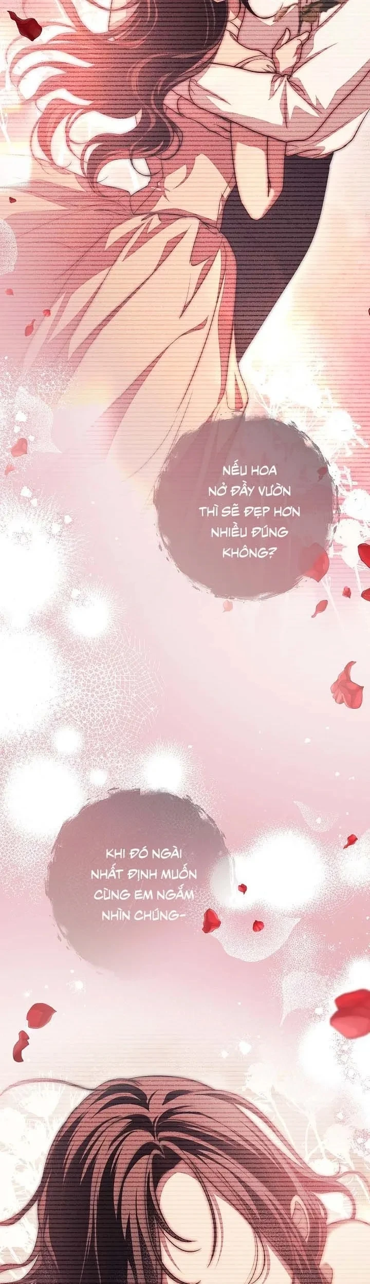 Mộ Thiên Nga Chapter 24 - 58
