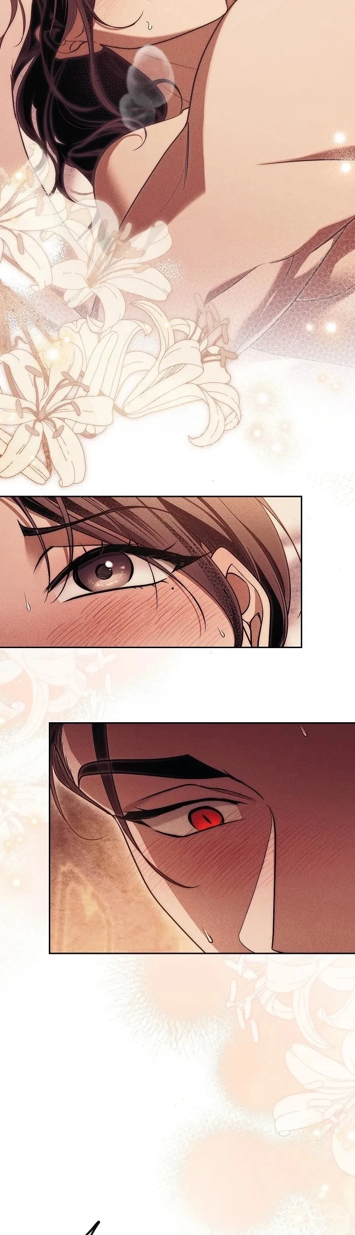 Mộ Thiên Nga Chapter 25 - 51
