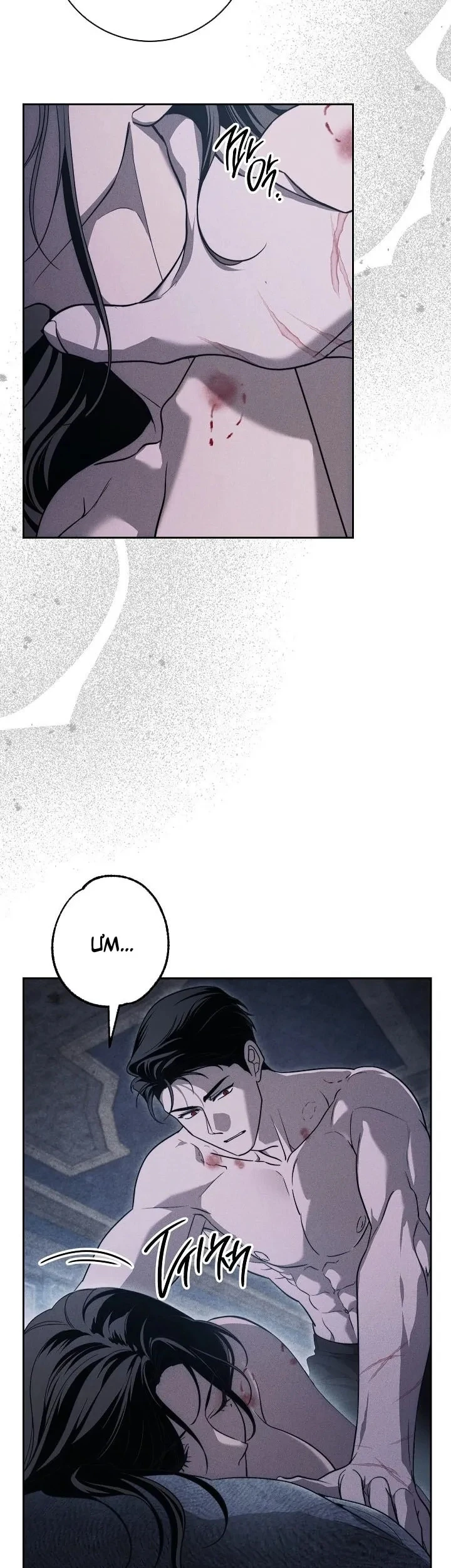 Mộ Thiên Nga Chapter 26 - 12
