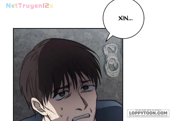 Mộ Thiên Nga Chapter 26 - 40